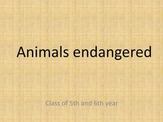 Animals endangered
Class of 5th and 6th year

 