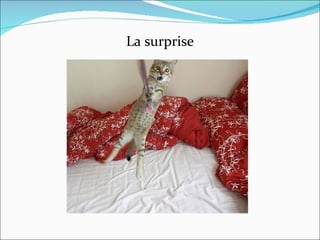 La surprise