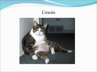 L’excès