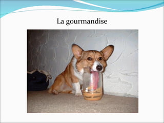 La gourmandise