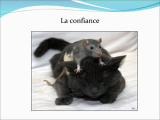 La confiance