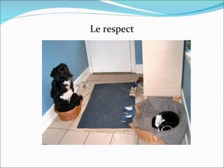 Le respect