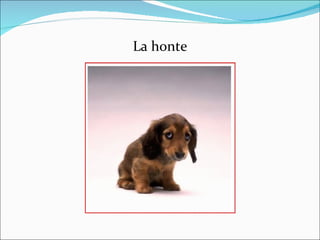 La honte