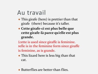 Au travail
● This girafe (here) is prettier than that
girafe (there) because it’s taller.
● Cette girafe-ci est plus belle que
cette girafe-là parce qu’elle est plus
grande.
(cette is used since giraffe is feminine.
Belle is in the feminine form since giraffe
is feminine, as is grande.
● This lizard here is less big than that
cat.
● Butterflies are better than flies.
 