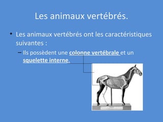 Les animaux vertébrés. Les animaux vertébrés ont les caractéristiques suivantes : Ils possèdent une colonne vertébrale et un squelette interne .