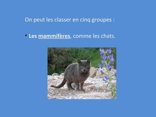 On peut les classer en cinq groupes : Les mammifères , comme les chats.
