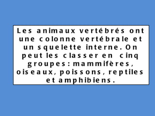 Les animaux vertébrés ont une colonne vertébrale et un squelette interne. On peut les classer en cinq groupes: mammifères, oiseaux, poissons, reptiles et amphibiens.