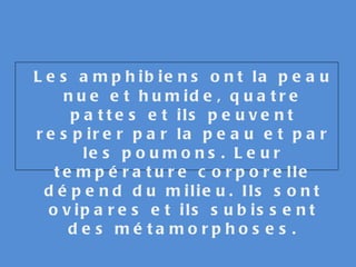 Les amphibiens ont la peau nue et humide, quatre pattes et ils peuvent respirer par la peau et par les poumons. Leur température corporelle dépend du milieu. Ils sont ovipares et ils subissent des métamorphoses. 