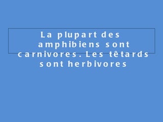 La plupart des amphibiens sont carnivores. Les têtards sont herbivores 