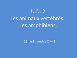 U.D. 2 Les animaux vertébrés.  Les amphibiens. 2ème Trimestre C.M.2 