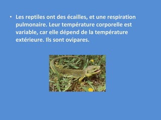 Les reptiles ont des écailles, et une respiration pulmonaire. Leur température corporelle est variable, car elle dépend de la température extérieure. Ils sont ovipares. 
