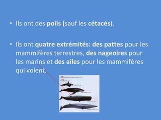 Ils ont des  poils ( sauf les  cétacés ). Ils ont  quatre extrémités: des pattes  pour les mammifères terrestres,  des nageoires  pour les marins et  des ailes  pour les mammifères qui volent. 