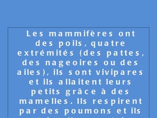 Les mammifères ont des poils, quatre extrémités (des pattes, des nageoires ou des ailes), ils sont vivipares et ils allaitent leurs petits grâce à des mamelles. Ils respirent par des poumons et ils ont des lèvres et des dents. 