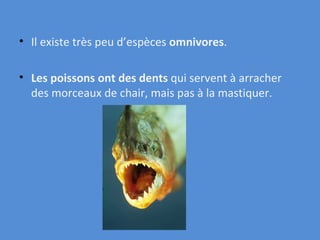 Il existe très peu d’espèces  omnivores . Les poissons ont des dents  qui servent à arracher des morceaux de chair, mais pas à la mastiquer. 
