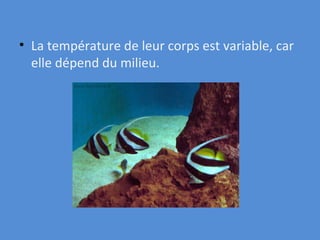 La température de leur corps est variable, car elle dépend du milieu.   