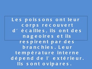 Les poissons ont leur corps recouvert d’écailles, ils ont des nageoires et ils respirent par des branchies. Leur température interne dépend de l’extérieur. Ils sont ovipares. 