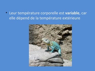 Leur température corporelle est  variable , car elle dépend de la température extérieure   