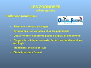 LES ZOONOSES milieu agricole Psittacose (ornithose) Réservoir = oiseau sauvages Symptômes très variables chez les psittacidés Chez l’homme: syndrome pseudo-grippal et pneumonie Diagnostic: clinique, contexte, échec des bétalactamines, sérologie Traitement:  cyclines 21 jours  Etude invs dans l’ouest 