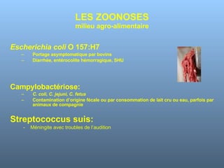 LES ZOONOSES milieu agro-alimentaire Escherichia coli  O 157:H7 Portage asymptomatique par bovins Diarrhée, entérocolite hémorragique, SHU Campylobactériose: C. coli, C. jejuni, C. fetus Contamination d’origine fécale ou par consommation de lait cru ou eau, parfois par animaux de compagnie Streptococcus suis: -  Méningite avec troubles de l’audition 