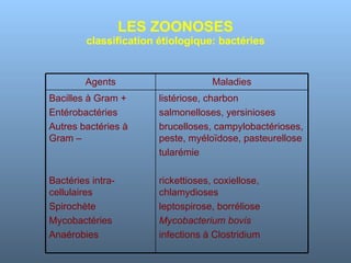 LES ZOONOSES classification étiologique: bactéries Agents Maladies Bacilles à Gram + Entérobactéries Autres bactéries à Gram – Bactéries intra-cellulaires Spirochète Mycobactéries Anaérobies listériose, charbon salmonelloses, yersinioses brucelloses, campylobactérioses, peste, myéloïdose, pasteurellose tularémie  rickettioses, coxiellose, chlamydioses leptospirose, borréliose Mycobacterium bovis infections à Clostridium  