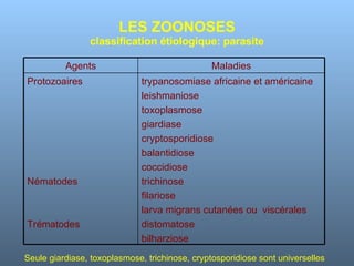LES ZOONOSES classification étiologique: parasite Seule giardiase, toxoplasmose, trichinose, cryptosporidiose sont universelles Agents Maladies Protozoaires Nématodes Trématodes trypanosomiase africaine et américaine leishmaniose toxoplasmose giardiase cryptosporidiose balantidiose coccidiose trichinose filariose larva migrans cutanées ou  viscérales distomatose bilharziose 