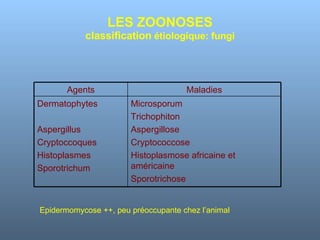 LES ZOONOSES classification  étiologique: fungi Epidermomycose ++, peu préoccupante chez l’animal Agents Maladies Dermatophytes Aspergillus Cryptoccoques Histoplasmes Sporotrichum Microsporum Trichophiton Aspergillose Cryptococcose Histoplasmose africaine et américaine Sporotrichose 