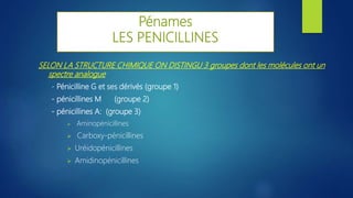 Pénames
LES PENICILLINES
SELON LA STRUCTURE CHIMIQUE ON DISTINGU 3 groupes dont les molécules ont un
spectre analogue
- Pénicilline G et ses dérivés (groupe 1)
- pénicillines M (groupe 2)
- pénicillines A: (groupe 3)
 Aminopénicillines
 Carboxy-pénicillines
 Uréidopénicillines
 Amidinopénicillines
 