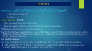 Pénames
Pénicillines M : pénicillines antistaphylococciques
- méthicilline (chef de file)
- oxacilline +++
Spectre d’activité : ETROIT
Staphylocoque (cocci Gram+) sensible
Staphylocoque producteur de pénicillinase (résistant à la pénicilline) +++
Antibiotique hydrophile sans activité sur les Gram -
Il existe des Staphylocoques résistants à ces antibiotiques (pénicilline M), ce sont des souches MRSA+
(Méthicillin-Resistance Staphylococcus Aureus). Les Staphylocoques MRSA sont résistant a toute la
familles des béta-lactamines
Voie d’administration :
Voie orale car stabilité en milieu acide mais faible résorption, on lui préfère la Voie parentérale
NB : CES MEDICAMENTS NE SONT PLUS UTILISES EN MEDECINE HUMAINE. Leurs utilisation est
reservée au laboratoire pour la recherche des resistances.
 