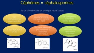 Céphèmes = céphalosporines
Sur un plan structurel on distingue 3 sous classes
Les
céphalosporines
proprement dites
C1G/C2G/C3G/C4
G/C5G
Les céphamycines
(considérés comme
des C2G)
Structure différente,
plus résistantes a
l’hydrolyse
enzymatique
Structure
différente , très
résistantes a
l’hydrolyse
enzymatique
Les oxacephems
(Considérés
comme des C3G)
 