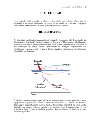 M. A. Sala – Lesão Celular   2


                              LESÃO CELULAR

Neste capítulo serão estudadas as alterações das células que sofreram algum tipo de
agressão e se encontram moribundas ou mortas, de que maneira ocorrem esses processos,
como podem ser reconhecidos e qual é o seu significado nas doenças.


                               DEGENERAÇÕES

As alterações morfológicas decorrentes de alterações funcionais, são denominadas de
degenerações. A definição clássica, cunhada por Virchow é: “Degenerações são alterações
regressivas das células que se manifestam por modificações citoplasmáticas e nucleares e
por diminuição da função celular”. Geralmente as alterações degenerativas são
consideradas reversíveis, uma vez que as funções celulares retornam ao normal quando
eliminado o agente causal.




                        Estímulo
                           ou
                        Agressão                          Hipertrofia


                     Estado normal
                         estável                              Atrofia




                            Ponto de          Morte celular
                          “não-retorno”        (Necrose)


                    Tempo


É possível reconhecer alguns tipos básicos de processos degenerativos, permitindo o seu
agrupamento. È geralmente adotado o critério de classificação de Letterer, que divide as
degenerações de acordo com a natureza química da substância acumulada na célula lesada.
Segundo esse critério, podemos reconhecer os seguintes tipos de degenerações: 1) com
acúmulo de água; 2) com acúmulo de proteínas; 3) com acúmulo de lipídios e 4) com
acúmulo de glicídios.
 