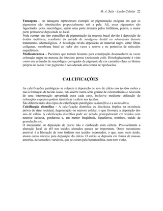 M. A. Sala – Lesão Celular 22

Tatuagens – As tatuagens representam exemplo de pigmentação exógena em que os
pigmentos são introduzidos propositalmente sob a pele. Ali, esses pigmentos são
fagocitados pelos macrófagos, sendo uma parte drenada pelos linfáticos, porém, a maior
parte permanece depositada no local.
Pode ocorrer um tipo específico de pigmentação da mucosa bucal devido à deposição de
óxidos metálicos, resultante da entrada de amalgama dental na submucosa durante
tratamentos odontológicos. A histologia revela deposição de material negro sobre fibras
colágenas, membrana basal ao redor dos vasos e nervos e no perimísio de músculos
esqueléticos.
Medicamentosa – Pacientes que tomam laxantes para constipação desenvolvem às vezes
coloração negra na mucosa do intestino grosso (melanosis coli). Histologicamente é visto
como um acúmulo de macrófagos carregados de pigmento de cor castanha-clara na lâmina
própria do cólon. Este pigmento é considerado uma forma de lipofuscina.



                              CALCIFICAÇÕES

As calcificações patológicas se referem à deposição de sais de cálcio nos tecidos moles e
não à formação de tecido ósseo. Isto ocorre numa série grande de circunstâncias e necessita
de uma interpretação apropriada para cada caso, inclusive mediante utilização de
colorações especiais podem identificar o cálcio nos tecidos.
São diferenciados dois tipos de calcificação patológica: a distrófica e a metastática.
Calcificação distrófica – A calcificação distrófica ou discrásica implica na existência
prévia de dano tecidual, degeneração ou necrose celular, o que favorece a deposição dos
sais de cálcio. A calcificação distrófica pode ser achada principalmente em tecidos com
necrose caseosa, gordurosa e, em menor freqüência, liquefativa, trombos, tecido de
granulação, etc.
O mecanismo de deposição de cálcio não é conhecido com certeza. Possivelmente a
alteração local do pH nos tecidos alterados parece ser importante. Outro mecanismo
possível é a liberação de íons fosfatos nos tecidos necrosados, o que, num meio ácido,
atuam como núcleos para deposição do cálcio. O cálcio se deposita em forma de massas
amorfas, de tamanhos variáveis, que se coram pela hematoxilina, num tom vinho.
 