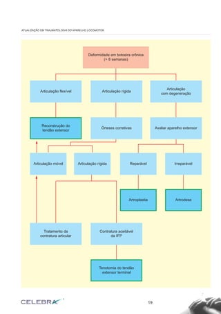 19
ATUALIZAÇÃO EM TRAUMATOLOGIA DO APARELHO LOCOMOTOR
Deformidade em botoeira crônica
(> 8 semanas)
Articulação flexível Articulação rígida
Articulação
com degeneração
Reconstrução do
tendão extensor
Articulação móvel Articulação rígida Reparável Irreparável
Artroplastia Artrodese
Órteses corretivas Avaliar aparelho extensor
Contratura aceitável
da IFP
Tratamento da
contratura articular
Tenotomia do tendão
extensor terminal
 