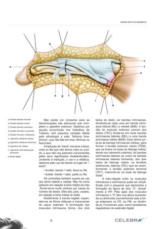 Não existe um consenso para as
denominações das estruturas que com-
põem o aparelho extensor. Optamos por
aquela encontrada nos trabalhos de
Tubiana, com pequena variação ditada
pela etimologia e pela “Nômina Ana-
tõmica”, que não fala em tiras, lâminas ou
fascículos.
A tradução de “band” nos leva a faixa,
cinta ou fita que não temos visto ou ouvi-
do, e que não nos parecem convenientes
pelos seus significados (Aulete/Aurélio).
Juntando à tradução, o uso e a didática,
optamos pelo uso de banda no lugar de “-
band”.
• Aurélio: banda = lado, faixa ou fita
• Aulete: banda = lado, parte ou fita
Há confusões também quanto ao uso
dos termo lateral e medial. Não há como
aplicá-lo em relação à linha média da mão
.Tornar-se-ia muito confuso por causa do
número de dedos. Eles são, pois, usados,
em relação à linha média do dedo.
Distalmente à banda sagital, expan-
dem-se as fibras obliquas e transversas
do capuz extensor. A terminação dos
músculos intrínsecos forma, dos dois
lados do dedo, as bandas intrínsecas,
dividindo-se cada uma em banda intrín-
seca lateral (BIL) e medial (BIM). 0 ten-
dão do músculo extensor comum dos
dedos (TEC) divide-se em duas bandas
extrínsecas laterais (BEL) e uma banda
extrínseca média (BEM). Esta última jun-
ta-se às bandas intrínsecas médias, para
formar o tendão extensor médio (TEM),
que se insere na base da falange média,
sendo seu elemento extensor. As bandas
extrínsecas laterais se unem às bandas
intrínsecas laterais formando, dos dois
lados da falange média, os tendões
extensores; laterais (TEL) que se unem,
formando o tendão extensor terminal
(TET), inserindo-se na base da falange
distal.
A inter-relação entre os músculos
intrínsecos e extrínsecos pode ser simpli-
ficada com o esquema que demonstra a
formação da figura de dois “X”, dorsal-
mente à IFP. Pela ação dos músculos
intrínsecos o “X” têm sua altura aumenta-
da ou diminuída (concentrando toda a for-
ça extensora na FD, na FM, ou dividin-
do-a). Funcionam, pois, como verdadeiros
reguladores da extensão digital.
6
REIMPLANTE DE MEMBROS
a) Tendão extensor terminal
b) Tendão extensor central
c) Tendão extensor extrínseco
d) Tendão intrínseco (Lumbrical)
e) Tendão intrínseco (Interósseo)
f) Ligamento retináculo oblíquo
g) Ligamento retináculo transverso
h) Ligamento de Cleland
i) Ligamento intermetacarpiano
transverso
j) Banda sagital
a
h
b
g f
d
e
c
j
i
 
