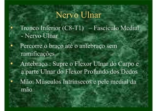 Nervo Ulnar
• Tronco Inferior (C8-T1) – Fascículo Medial
- Nervo Ulnar
• Percorre o braço até o antebraço sem
ramificações
• Antebraço : Supre o Flexor Ulnar do Carpo e
a parte Ulnar do Flexor Profundo dos Dedos
• Mão: Músculos Intrínsecos e pele medial da
mão
 