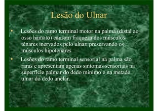 Lesão do Ulnar
• Lesões do ramo terminal motor na palma (distal ao
osso hamato) causam fraqueza dos músculos
tênares inervados pelo ulnar, preservando os
músculos hipotenares
• Lesões do ramo terminal sensorial na palma são
raras e apresentam apenas sintomas sensoriais na
superfície palmar do dedo mínimo e na metade
ulnar do dedo anelar.
 