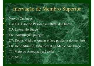 Inervação de Membro Superior
• Nervos Cutâneos:
• C3e C4: Base do Pescoço e Lateral do Ombro
• C5: Lateral do Braço
• C6: Antebraço e polegar
• C7: Dedos Médio e Anular e face posterior do membro
• C8: Dedo Mínimo, lado medial da Mão e Antebraço
• T1: Meio do Antebraço até axila
• T2: Axila
 