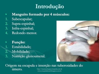 Introdução
• Manguito formado por 4 músculos:
1. Subescapular;
2. Supra-espinhal;
3. Infra-espinhal;
4. Redondo menor.
• Função:
1. Estabilidade;
2. Mobilidade;
3. Nutrição glenoumeral.
Origem na escapula e inserção nas tuberosidades do
úmero. http://traumatologiaeortopedia.com &
www.ortopediabrasil.blogspot.com.br
 