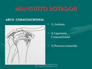 MANGUITO ROTADOR
ARCO CORACOACROMAL
• 1) Acrômio
• 2) Ligamento
Coracoacromial
• 3) Processo coracóide
http://traumatologiaeortopedia.com &
www.ortopediabrasil.blogspot.com.br
 