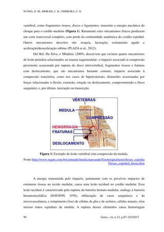 NUNES, D. M.; MORAIS, C. R.; FERREIRA, C. G.
Getec, v.6, n.13, p.87-103/2017
90
vertebral, como fragmentos ósseos, discos e ligamentos, transmite a energia mecânica do
choque para o cordão medular (Figura 1). Raramente estes mecanismos físicos produzem
um corte transversal completo, com perda da continuidade anatômica do cordão espinhal.
Outros mecanismos descritos são: tosquia, laceração, estiramento agudo e
aceleração/desaceleração súbitas (PLAZA et al., 2012).
Del Bel, Da Silva, e Mladinic (2009), descrevem que existem quatro mecanismos
de lesão primária relacionados ao trauma raquimedular: o impacto associado à compressão
persistente ocasionada por ruptura do disco intervertebral, fragmentos ósseos e fraturas
com deslocamento, que são mecanismos bastante comuns; impacto associado à
compressão transitória, como nos casos de hiperextensão; distensões ocasionadas por
forças relacionadas à flexão, extensão, rotação ou deslocamento, comprometendo o fluxo
sanguíneo; e, por último, laceração ou transecção.
Figura 1: Exemplo de lesão vertebral com compressão da medula.
Fonte:http://www.wgate.com.br/conteudo/medicinaesaude/fisioterapia/neuro/lesao_espinha
l/lesao_espinhal_brena.htm
A energia transmitida pelo impacto, juntamente com os possíveis impactos de
estruturas ósseas no tecido medular, causa uma lesão tecidual no cordão medular. Essa
lesão tecidual é caracterizada pela ruptura da barreira hemato-medular, análoga à barreira
hematoencefálica (DAVSON, 1976), obliteração de vasos sanguíneos e da
microvasculatura, e rompimento (lise) de células da glia e de axônios, células neurais, e/ou
mesmo tratos espinhais da medula. A ruptura desses elementos causa hemorragias
 