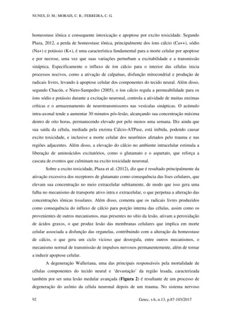 NUNES, D. M.; MORAIS, C. R.; FERREIRA, C. G.
Getec, v.6, n.13, p.87-103/2017
92
homeostase iônica e consequente intoxicação e apoptose por excito toxicidade. Segundo
Plaza, 2012, a perda de homeostase iônica, principalmente dos íons cálcio (Ca++), sódio
(Na+) e potássio (K+), é uma característica fundamental para a morte celular por apoptose
e por necrose, uma vez que suas variações perturbam a excitabilidade e a transmissão
sináptica. Especificamente o influxo de íon cálcio para o interior das células inicia
processos nocivos, como a ativação de calpaínas, disfunção mitocondrial e produção de
radicais livres, levando à apoptose celular dos componentes do tecido neural. Além disso,
segundo Chacón, e Nieto-Sampedro (2005), o íon cálcio regula a permeabilidade para os
íons sódio e potássio durante a excitação neuronal, controla a atividade de muitas enzimas
críticas e o armazenamento de neurotransmissores nas vesículas sinápticas. O acúmulo
intra-axonal tende a aumentar 30 minutos pós-lesão, alcançando sua concentração máxima
dentro de oito horas, permanecendo elevado por pelo menos uma semana. Diz ainda que
sua saída da célula, mediada pela enzima Cálcio-ATPase, está inibida, podendo causar
excito toxicidade, e inclusive a morte celular dos neurônios afetados pelo trauma e nas
regiões adjacentes. Além disso, a elevação do cálcio no ambiente intracelular estimula a
liberação de aminoácidos excitatórios, como o glutamato e o aspartato, que reforça a
cascata de eventos que culminam na excito toxicidade neuronal.
Sobre a excito toxicidade, Plaza et al. (2012), diz que é resultado principalmente da
ativação excessiva dos receptores de glutamato como consequência das lises celulares, que
elevam sua concentração no meio extracelular subitamente, de modo que isso gera uma
falha no mecanismo de transporte ativo intra e extracelular, o que perpetua a alteração das
concentrações iônicas tissulares. Além disso, comenta que os radicais livres produzidos
como consequência do influxo de cálcio para porção interna das células, assim como os
provenientes de outros mecanismos, mas presentes no sítio da lesão, ativam a peroxidação
de ácidos graxos, o que produz lesão das membranas celulares que implica em morte
celular associada a disfunção das organelas, contribuindo com a alteração da homeostase
de cálcio, o que gera um ciclo vicioso que desregula, entre outros mecanismos, o
mecanismo normal de transmissão de impulsos nervosos permanentemente, além de tornar
a induzir apoptose celular.
A degeneração Walleriana, uma das principais responsáveis pela mortalidade de
células componentes do tecido neural e ‘devastação’ da região lesada, caracterizada
também por ser uma lesão medular avançada (Figura 2) é resultante de um processo de
degeneração do axônio da célula neuronal depois de um trauma. No sistema nervoso
 
