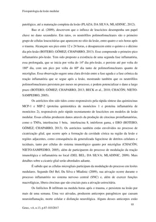 Fisiopatologia da lesão medular
95
Getec, v.6, n.13, p.87-103/2017
patológico, até a maturação completa da lesão (PLAZA; DA SILVA; MLADINIC, 2012).
Bao et al. (2009), descrevem que o influxo de leucócitos desempenha um papel
chave no dano secundário. Em ratos, os neutrófilos polimorfonucleares são o primeiro
grupo de células leucocitárias que aparecem no sítio da lesão, entre quatro e seis horas após
o trauma. Alcançam seu pico entre 12 e 24 horas, e desaparecem entre o quinto e o décimo
dia pós-lesão (BOTERO; GÓMEZ; CHAPARRO, 2013). Esse compreende o primeiro pico
inflamatório pós-lesão. Tem sido proposto a existência de uma segunda fase inflamatória,
essa prolongada, que se inicia por volta do 14º dia pós-lesão, e persiste até por volta do
180º dia, com um pico por volta do 60º dia tanto de polimorfonucleares quanto de
micróglias. Essa observação sugere uma clara divisão entre a fase aguda e a fase crônica da
reação inflamatória que se segue após a lesão, mostrando também que os neutrófilos
polimorfonucleares persistem por meses no processo, e podem potencializar o dano a largo
prazo (BOTERO; GÓMEZ; CHAPARRO, 2013; BECK et al., 2010; CHACÓN; NIETO-
SAMPEDRO, 2005).
Os astrócitos têm sido tidos como responsáveis pela rápida síntese das quimiocinas
MCP-1 e MIP-2 (proteína quimiotática de monócitos 1 e proteína inflamatória de
monócitos 2), responsáveis pelo rápido recrutamento de leucócitos em modelos de lesão
medular. Essas células produzem danos através da produção de citocinas proinflamatórias,
como o TNFα, interleucina 1 beta, interleucina 8, intérferon gama, e ERO (BOTERO;
GÓMEZ; CHAPARRO, 2013). Os astrócitos também estão envolvidos no processo de
cicatrização glial, que ocorre após a formação da cavidade cística na região da lesão e
regiões adjacentes, como consequência da generalizada fagocitose de detritos celulares e
teciduais, tanto por células do sistema imunológico quanto por micróglias (CHACÓN;
NIETO-SAMPEDRO, 2005), além de participarem do processo de modulação da reação
imunológica e inflamatória no local (DEL BEL; DA SILVA; MLADINIC, 2009). Mais
detalhes sobre a cicatriz glial serão abordados adiante.
É sabido que as células microgliais participam da modulação do processo em lesões
medulares. Segundo Del Bel, Da Silva e Mladinic (2009), sua ativação ocorre durante o
processo inflamatório no sistema nervoso central (SNC) e, além de exercer funções
macrofágicas, libera citocinas que são cruciais para a ativação astrocitária.
Os linfócitos B infiltram na medula horas após o trauma, e persistem na lesão por
mais de uma semana. Uma vez ativadas, produzem anticorpos patogênicos que causam
neuroinflamação, morte celular e disfunção neurológica. Alguns desses anticorpos estão
 