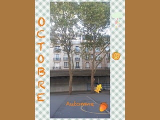 Les arbres de Massillon