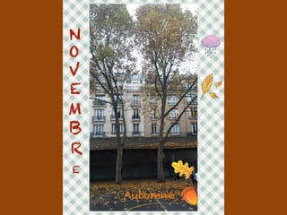 Les arbres de Massillon