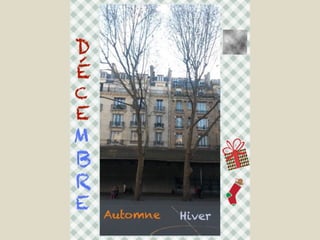 Les arbres de Massillon