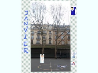 Les arbres de Massillon