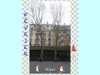 Les arbres de Massillon