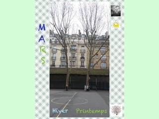 Les arbres de Massillon