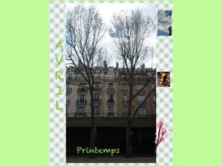 Les arbres de Massillon