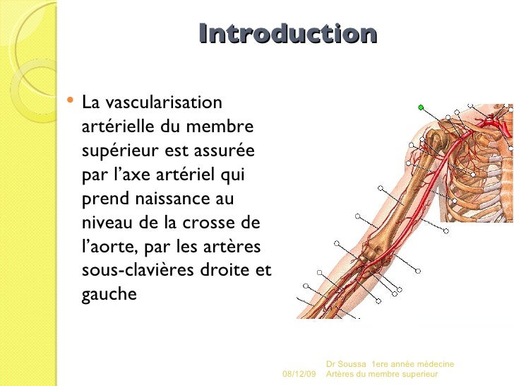 Le cours comme augmenter penis