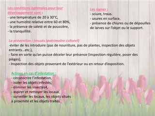 Les conditions optimales pour leur
développement sont :
- une température de 20 à 30°C,
- une humidité relative entre 60 et 80%,
- la présence de saleté et de poussière,
- la tranquillité.
Les signes :
- sciure, trous.
- usures en surface,
- présence de chiures ou de dépouilles
de larves sur l’objet ou le support.
La prévention : (musés (patrimoine culturel)
-éviter de les introduire (pas de nourriture, pas de plantes, inspection des objets
entrants…etc.),
- faire en sorte qu’on puisse déceler leur présence (inspection régulière, poser des
pièges),
- Inspection des objets provenant de l’extérieur ou en retour d’exposition.
Actions en cas d’infestation :
- circonscrire l’infestation,
- isoler les objets infestés,
- éliminer les insectes4,
- aspirer et nettoyer les locaux,
- surveiller les locaux, les objets situés
à proximité et les objets traités.
 